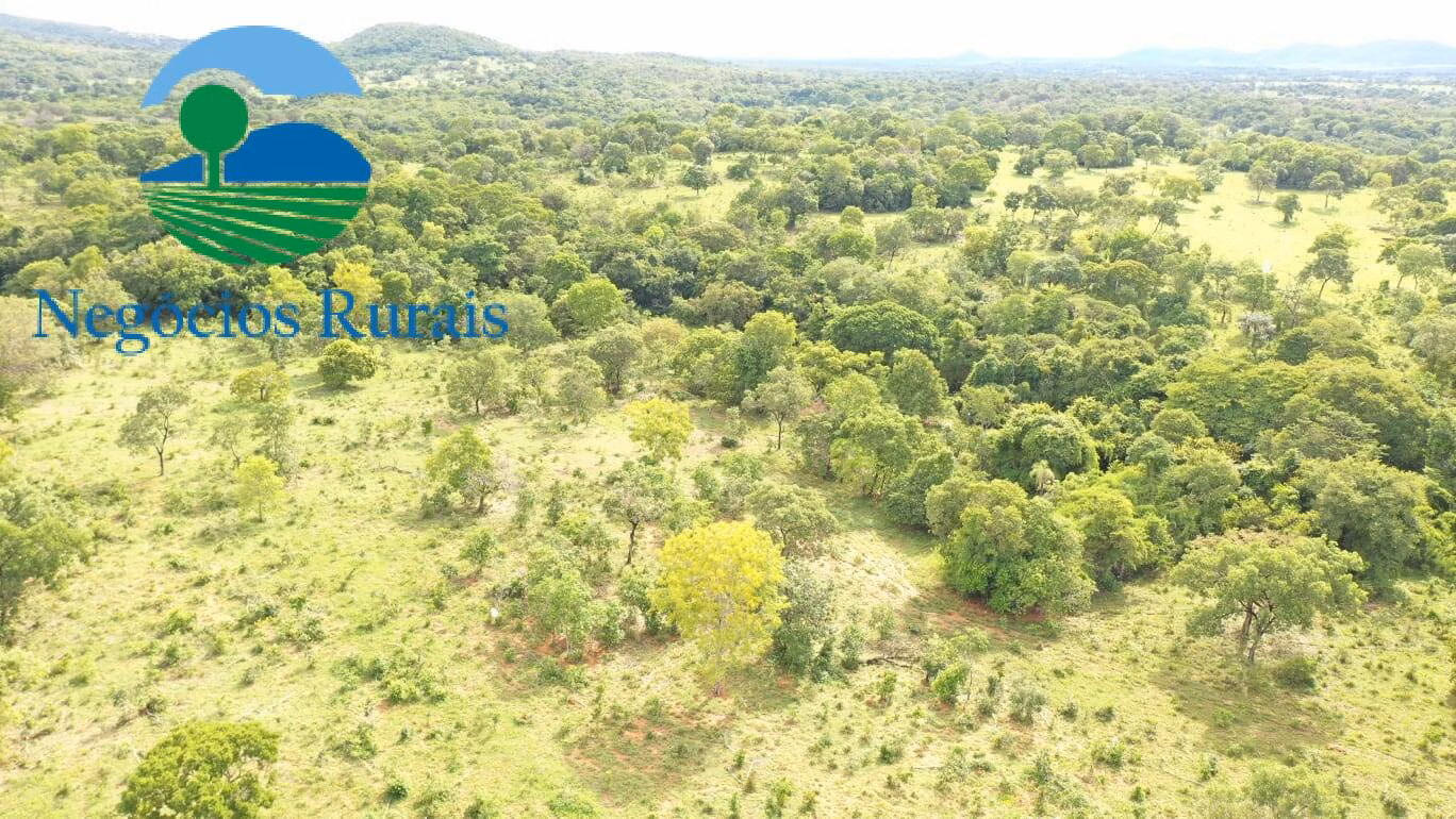 Fazenda de 1.055 ha em Formoso, GO