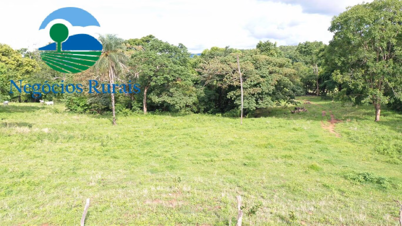 Fazenda de 1.055 ha em Formoso, GO