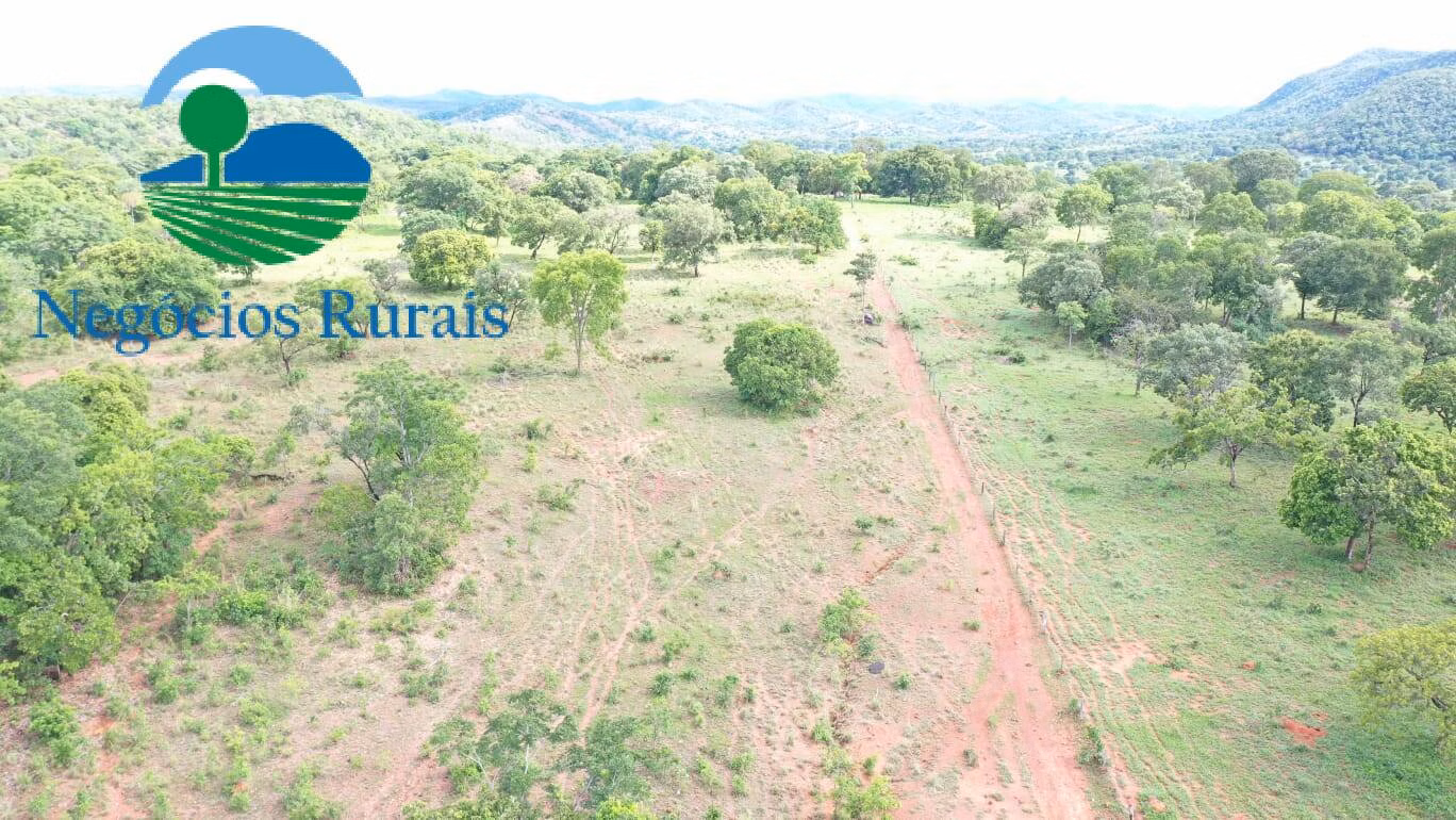 Fazenda de 1.055 ha em Formoso, GO