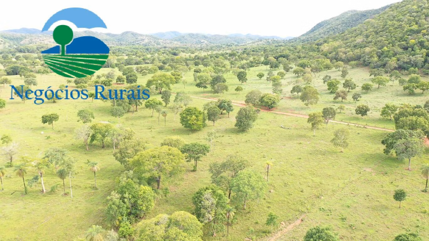 Fazenda de 1.055 ha em Formoso, GO