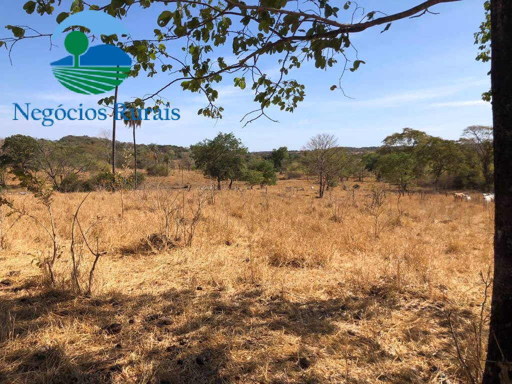 Fazenda de 1.055 ha em Formoso, GO