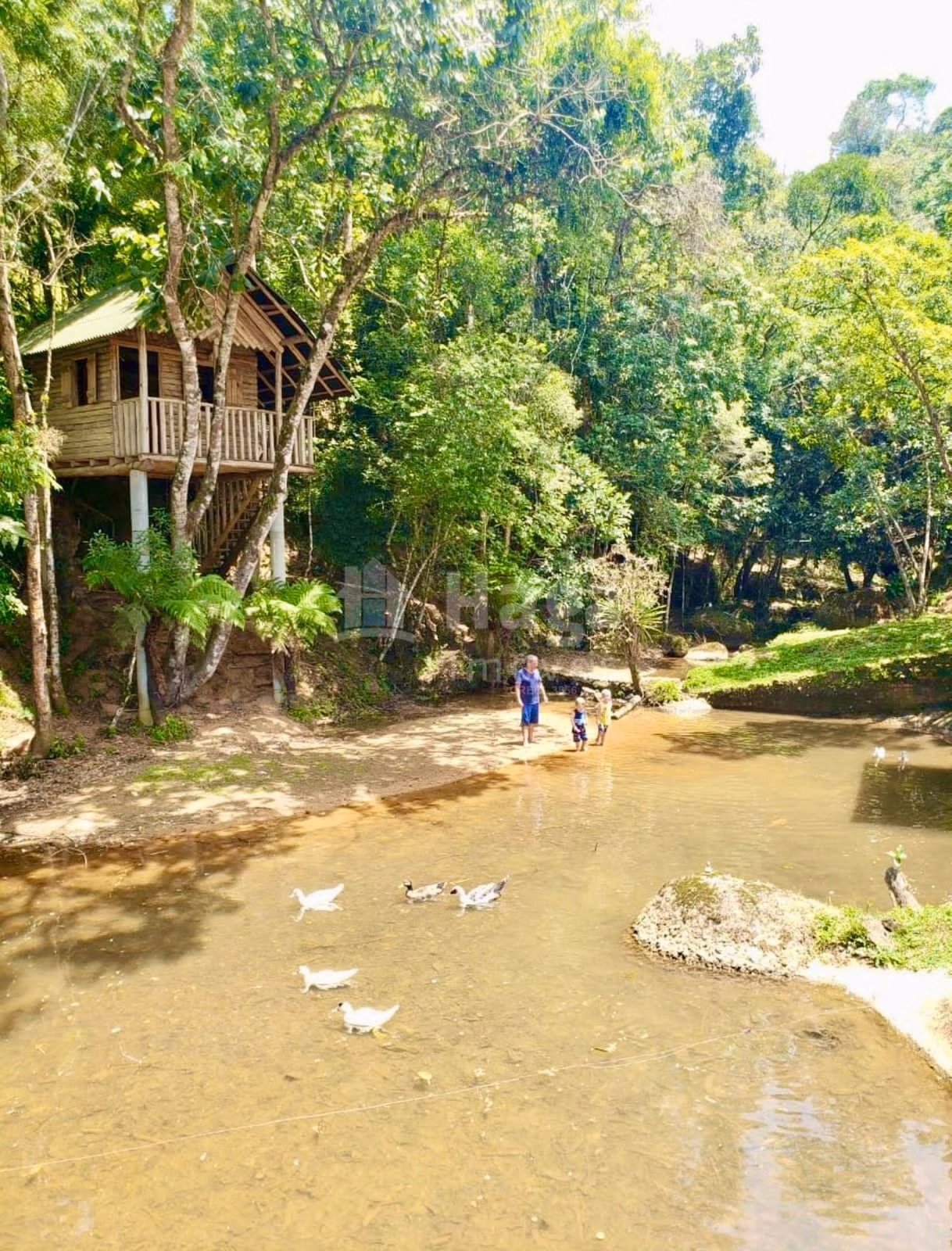 Fazenda de 13 ha em Angelina, SC