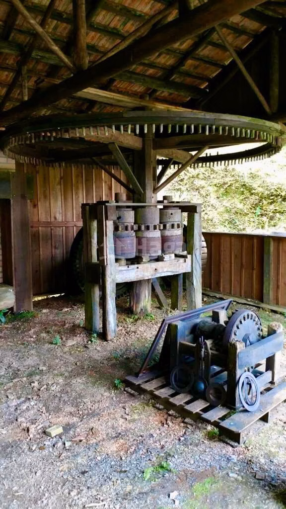 Fazenda de 13 ha em Angelina, SC