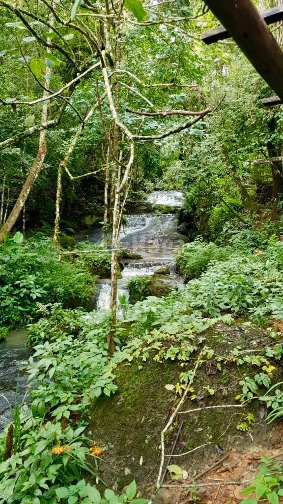 Farm of 31 acres in Angelina, SC, Brazil