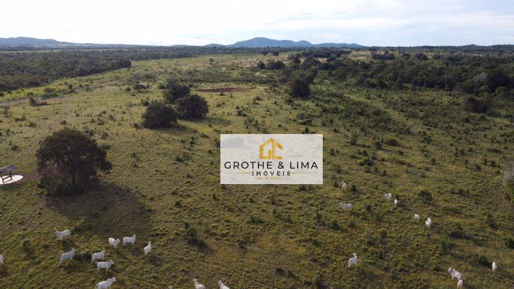 Fazenda de 999 ha em Gurupi, TO