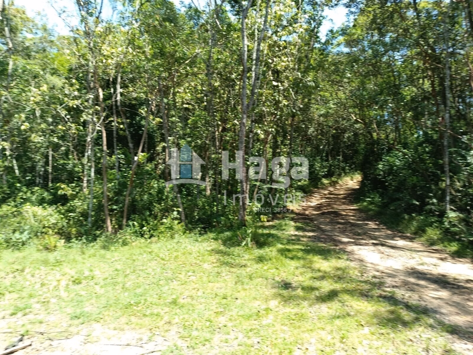 Country home of 4 acres in Itajaí, SC, Brazil