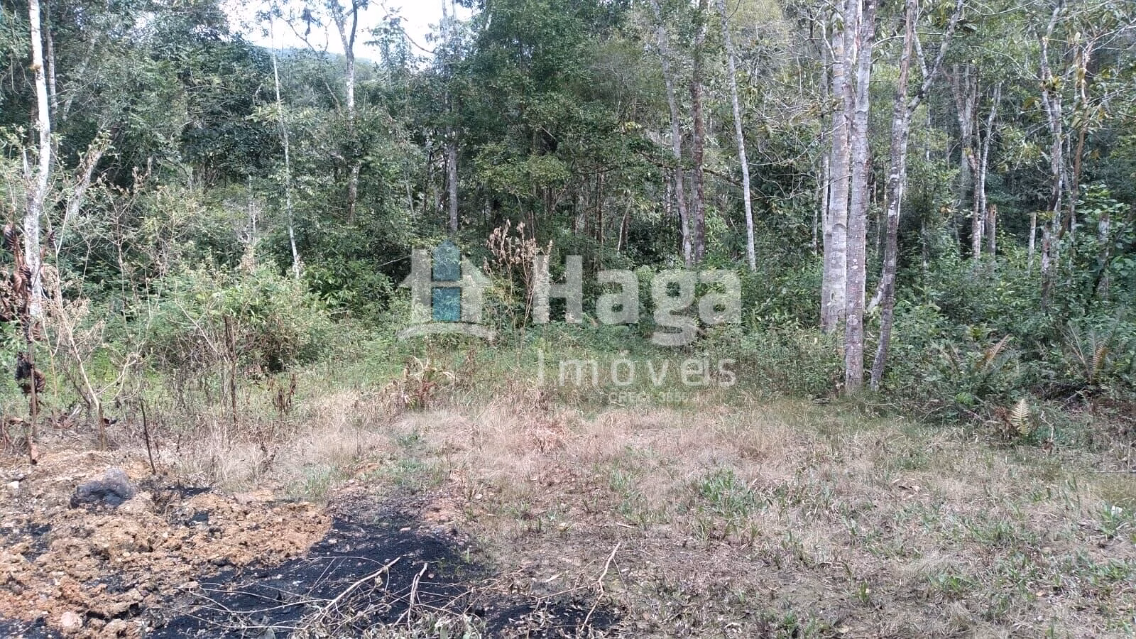 Country home of 4 acres in Itajaí, SC, Brazil