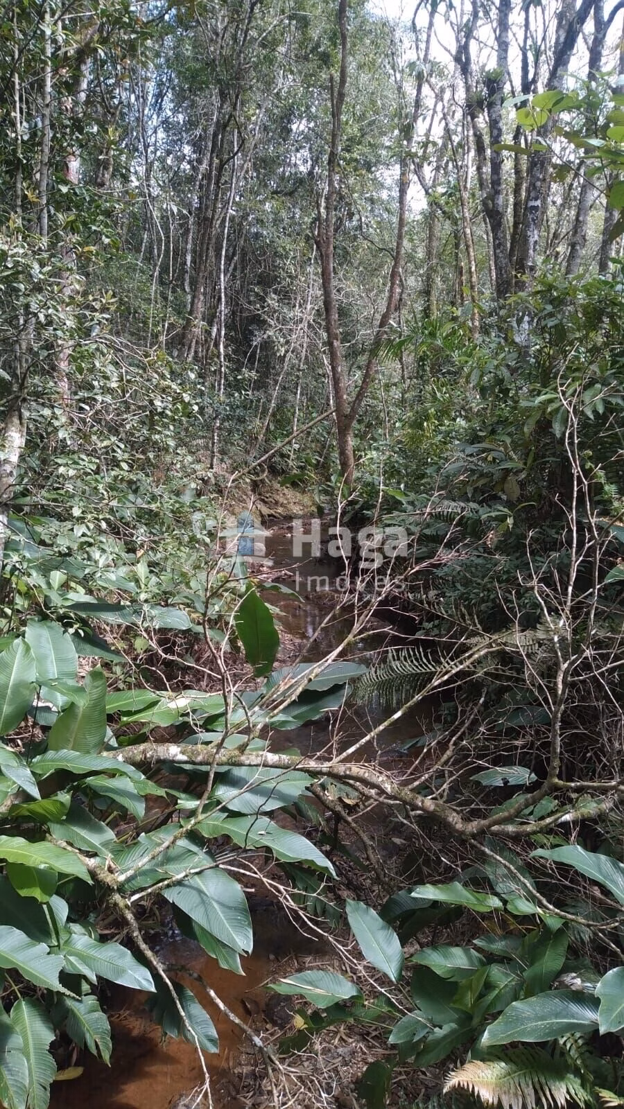 Chácara de 2 ha em Itajaí, SC
