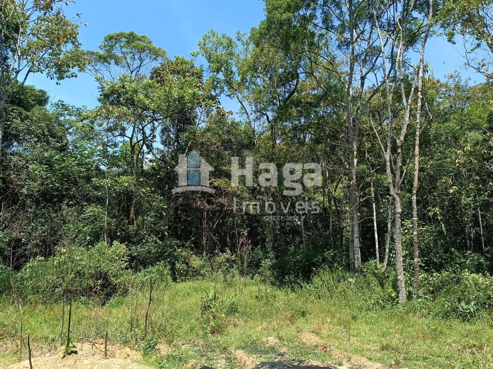 Chácara de 2 ha em Itajaí, SC