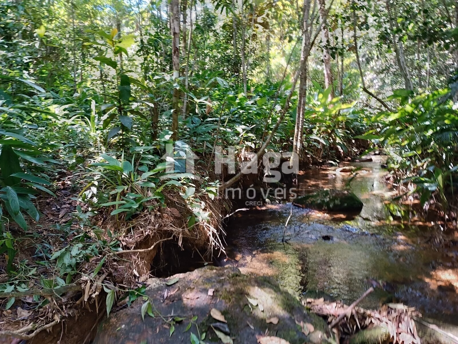 Country home of 4 acres in Itajaí, SC, Brazil