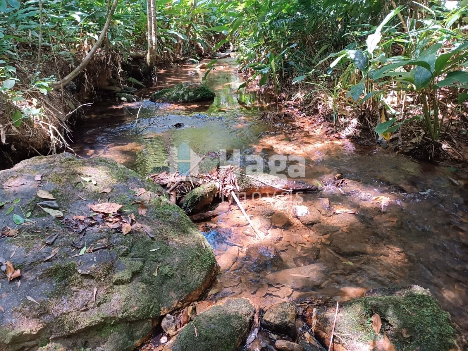 Country home of 4 acres in Itajaí, SC, Brazil