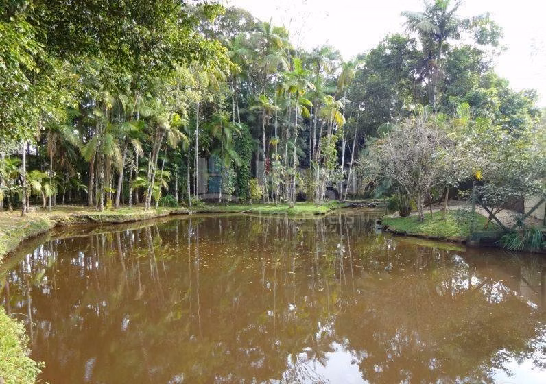 Fazenda de 2 ha em Guabiruba, SC