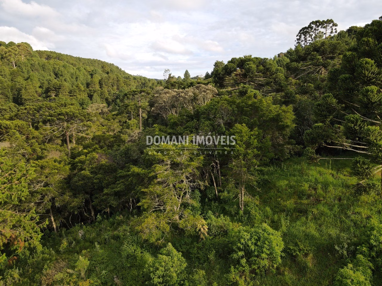 Plot of 2,100 m² in Campos do Jordão, SP, Brazil