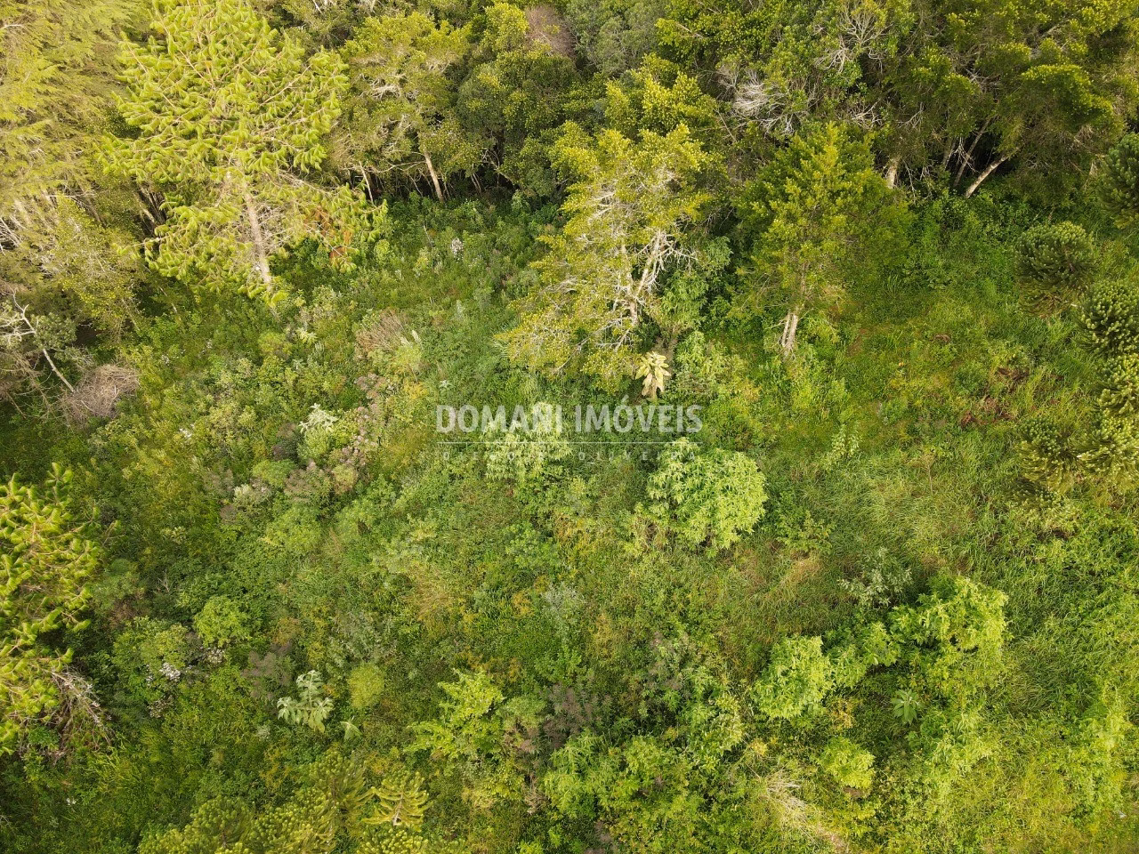 Plot of 2,100 m² in Campos do Jordão, SP, Brazil