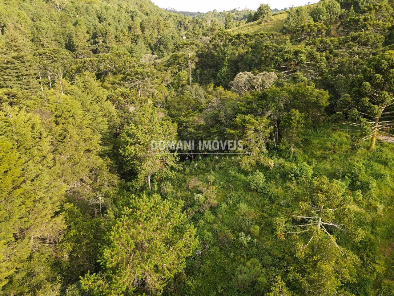 Plot of 2,100 m² in Campos do Jordão, SP, Brazil