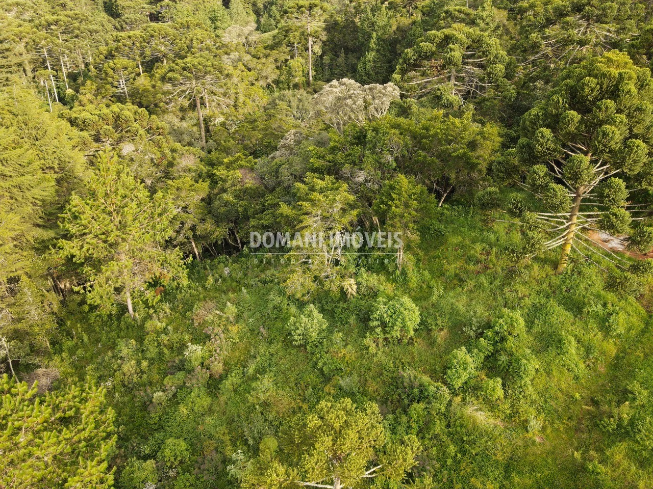 Plot of 2,100 m² in Campos do Jordão, SP, Brazil