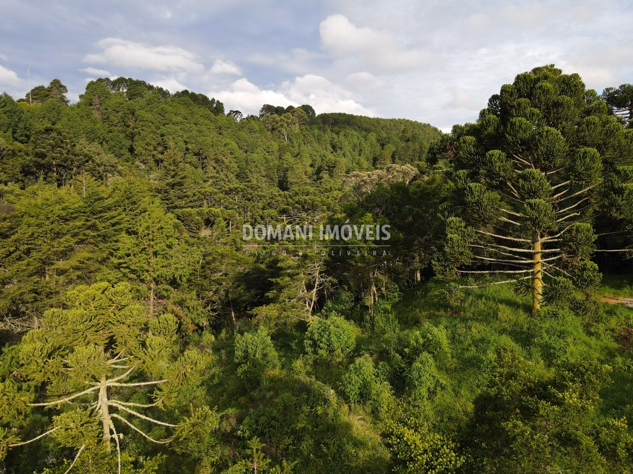 Plot of 2,100 m² in Campos do Jordão, SP, Brazil