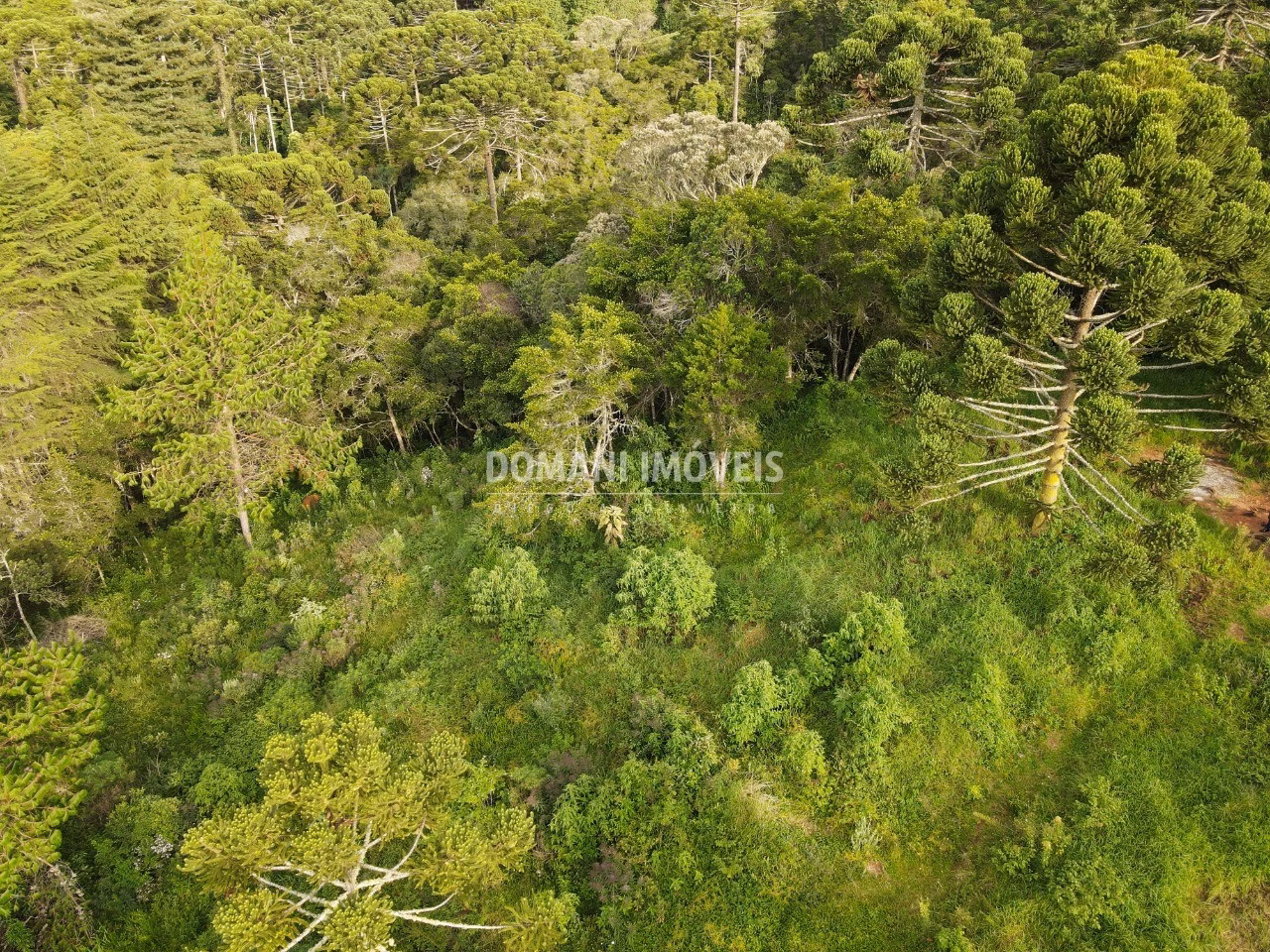 Plot of 2,100 m² in Campos do Jordão, SP, Brazil