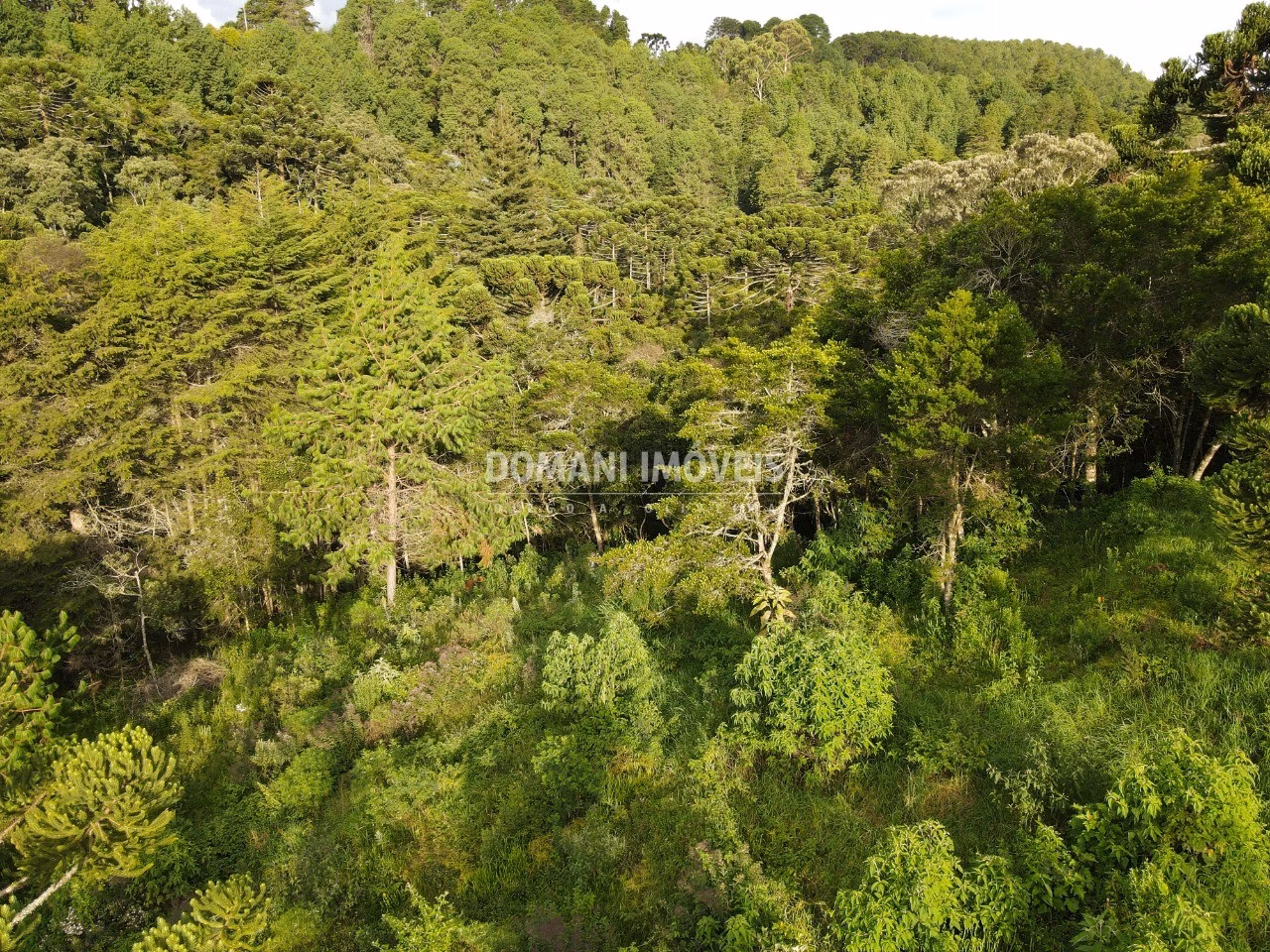 Plot of 2,100 m² in Campos do Jordão, SP, Brazil