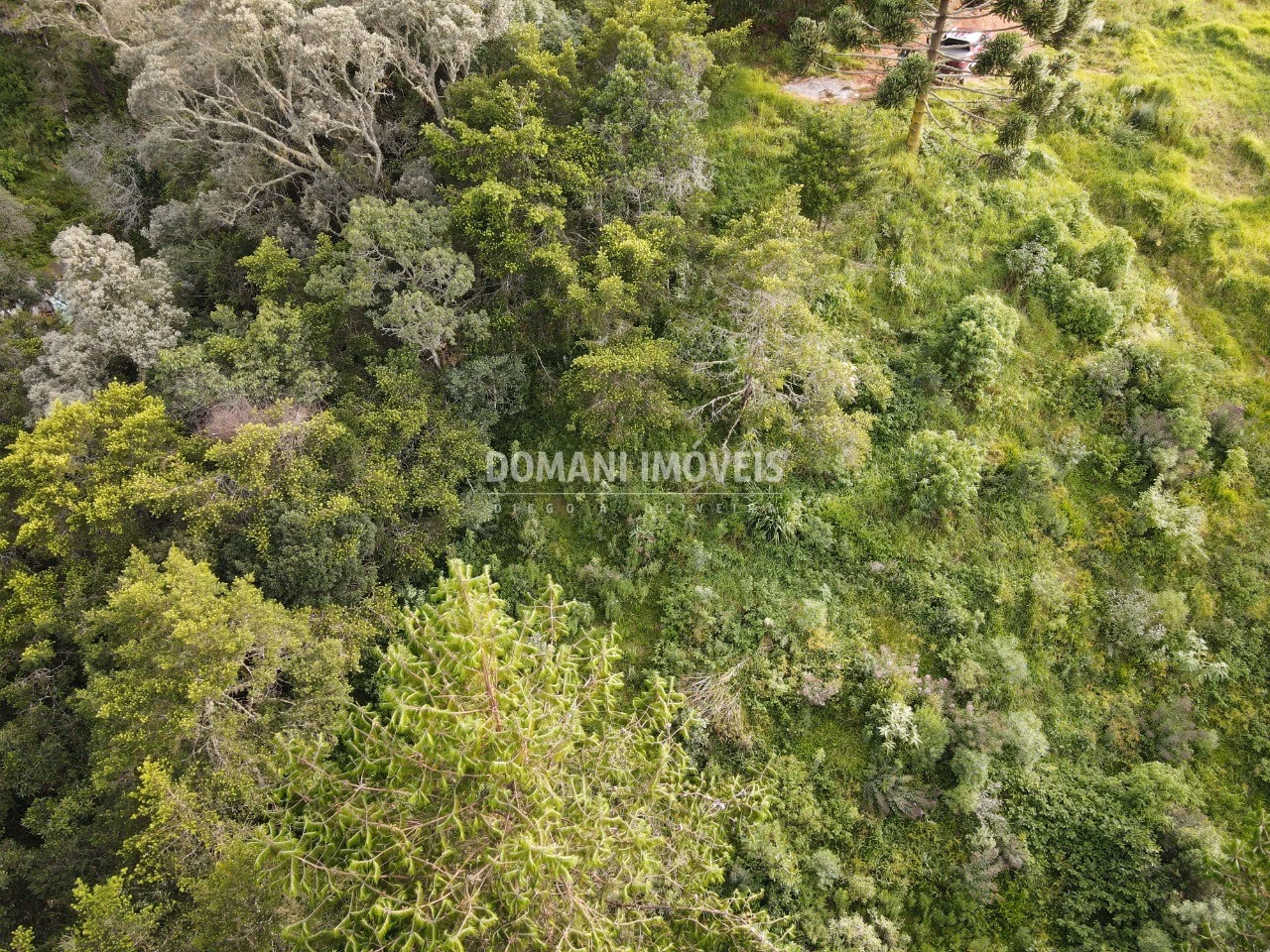 Plot of 2,100 m² in Campos do Jordão, SP, Brazil