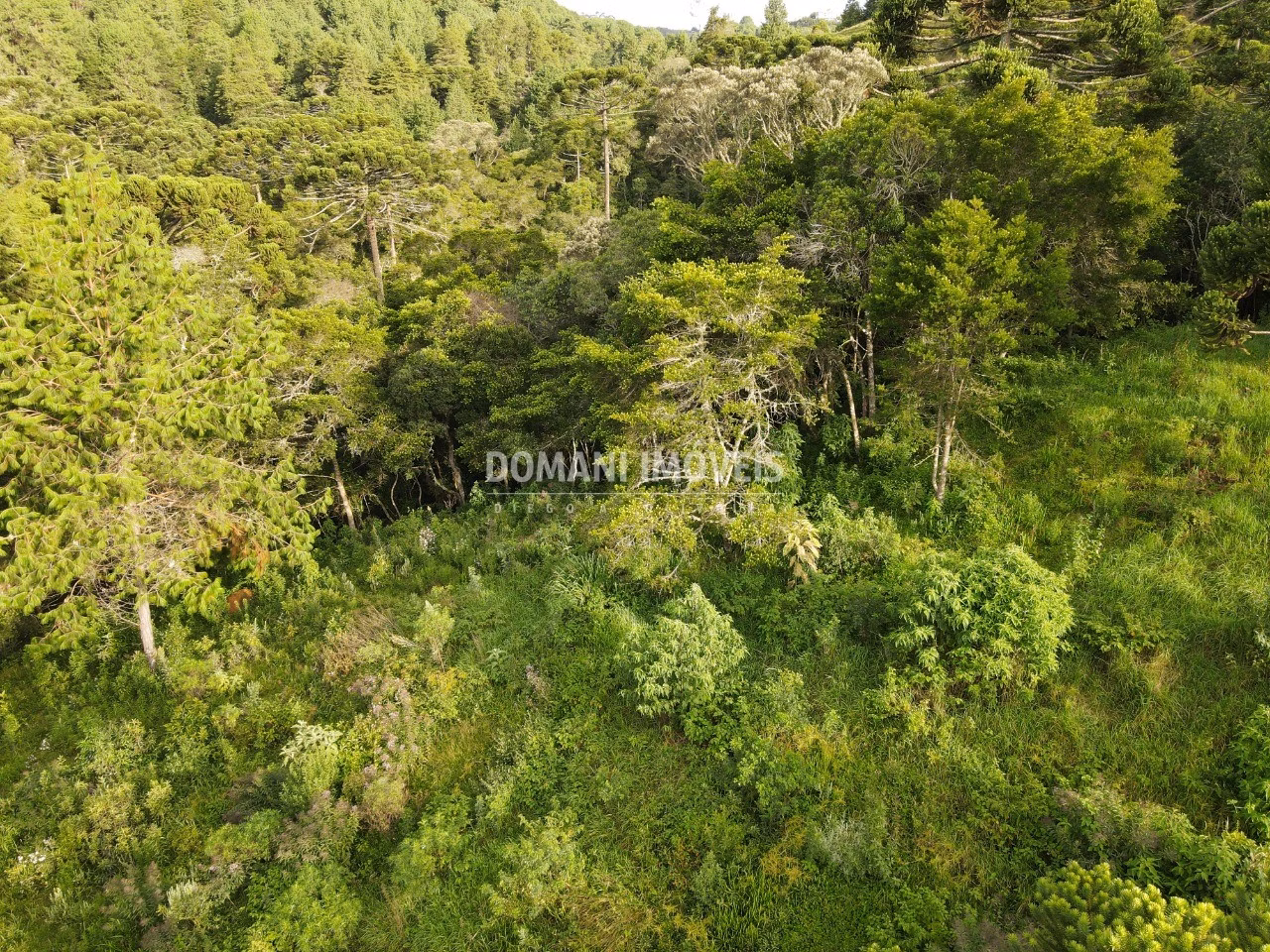 Plot of 2,100 m² in Campos do Jordão, SP, Brazil