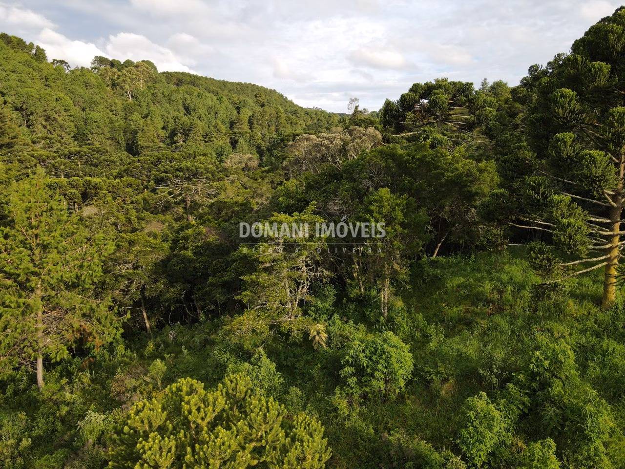 Plot of 2,100 m² in Campos do Jordão, SP, Brazil