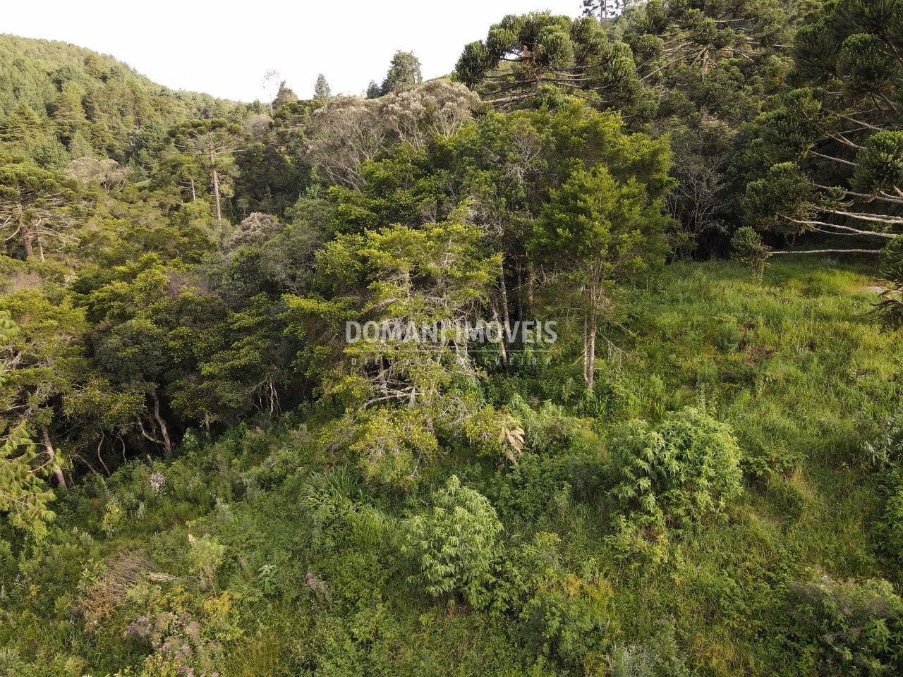 Plot of 2,100 m² in Campos do Jordão, SP, Brazil
