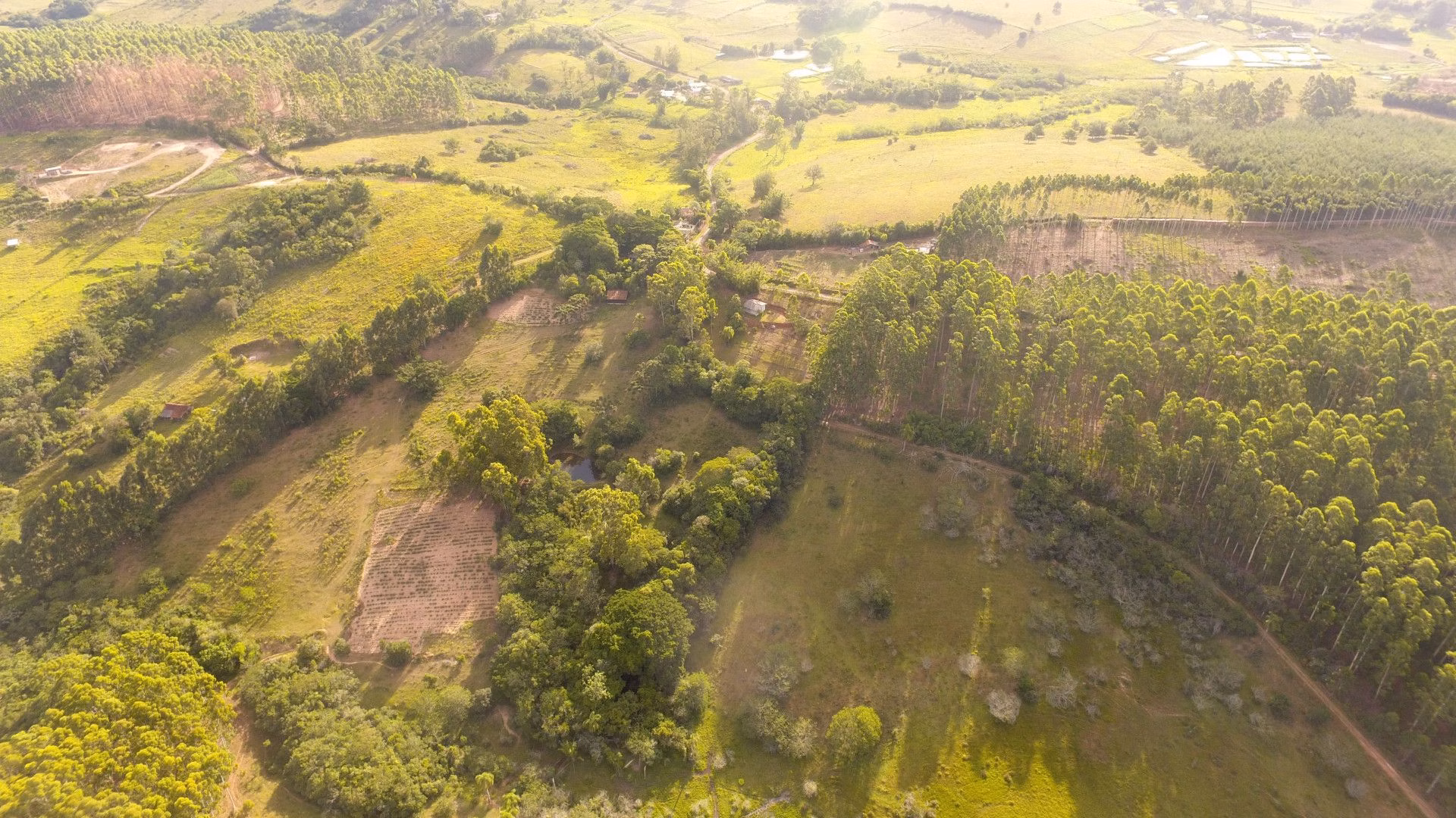 Chácara de 1 ha em Taquara, RS