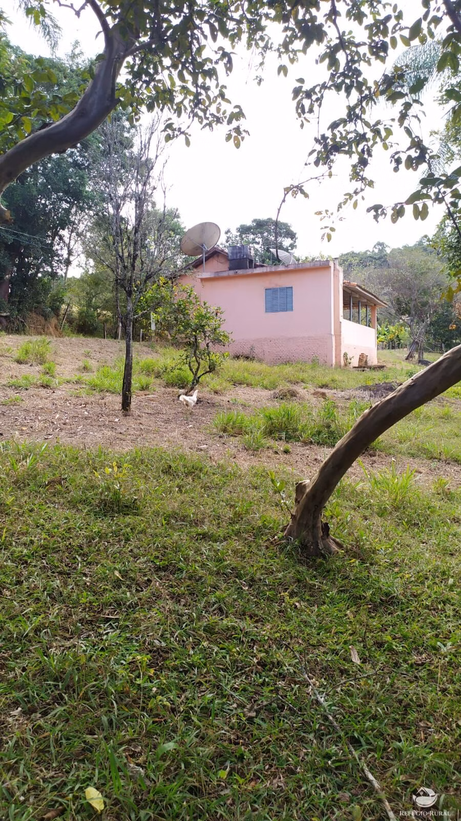 Chácara de 5.000 m² em Conceição dos Ouros, MG