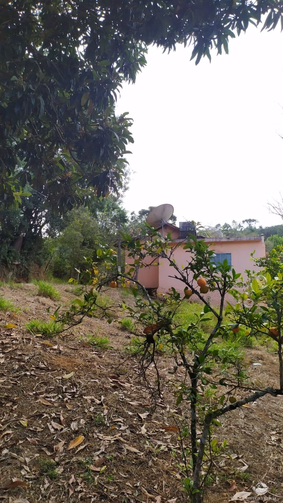 Chácara de 5.000 m² em Conceição dos Ouros, MG
