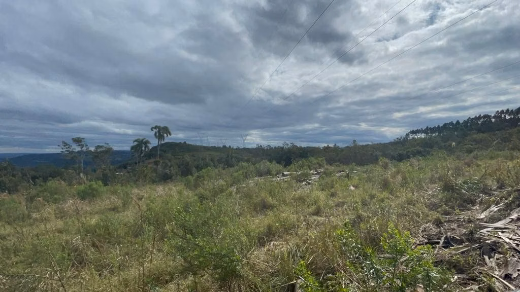 Sítio de 75 ha em Osório, RS