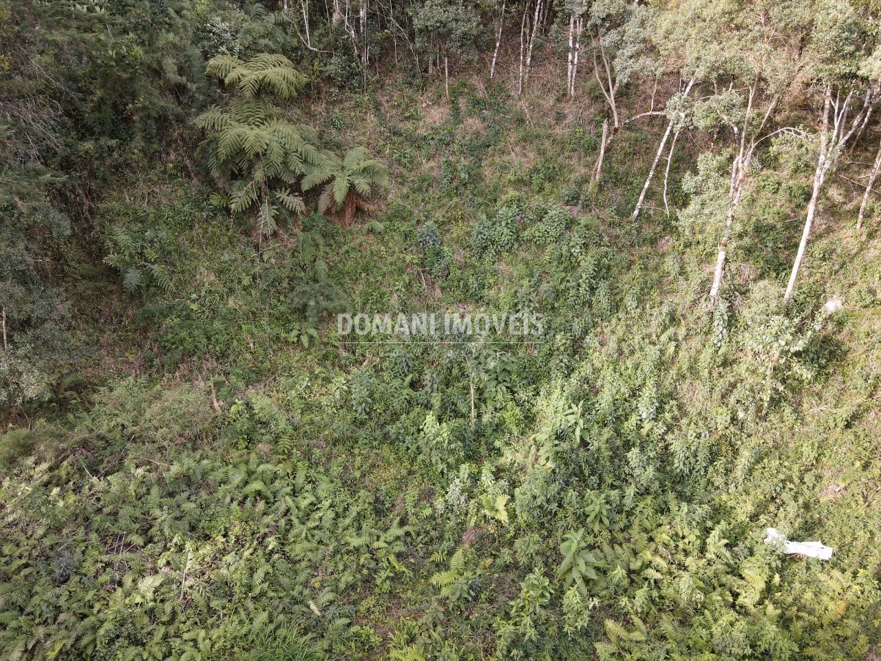 Plot of 1,655 m² in Campos do Jordão, SP, Brazil