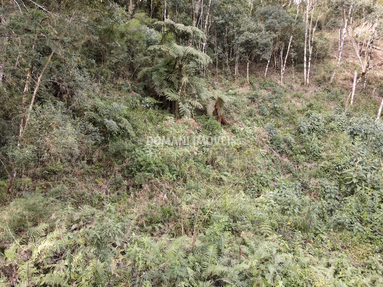 Plot of 1,655 m² in Campos do Jordão, SP, Brazil