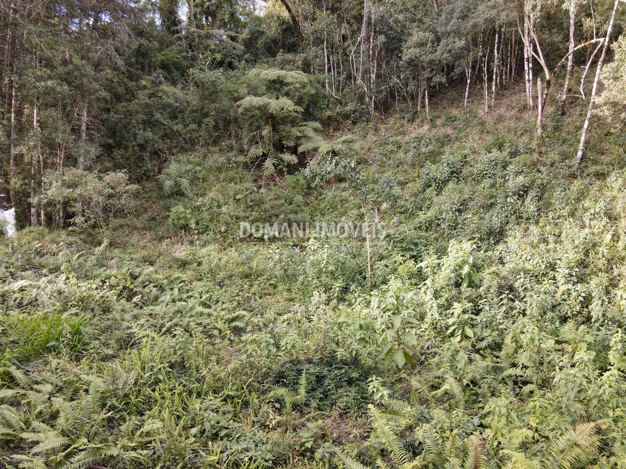 Plot of 1,655 m² in Campos do Jordão, SP, Brazil