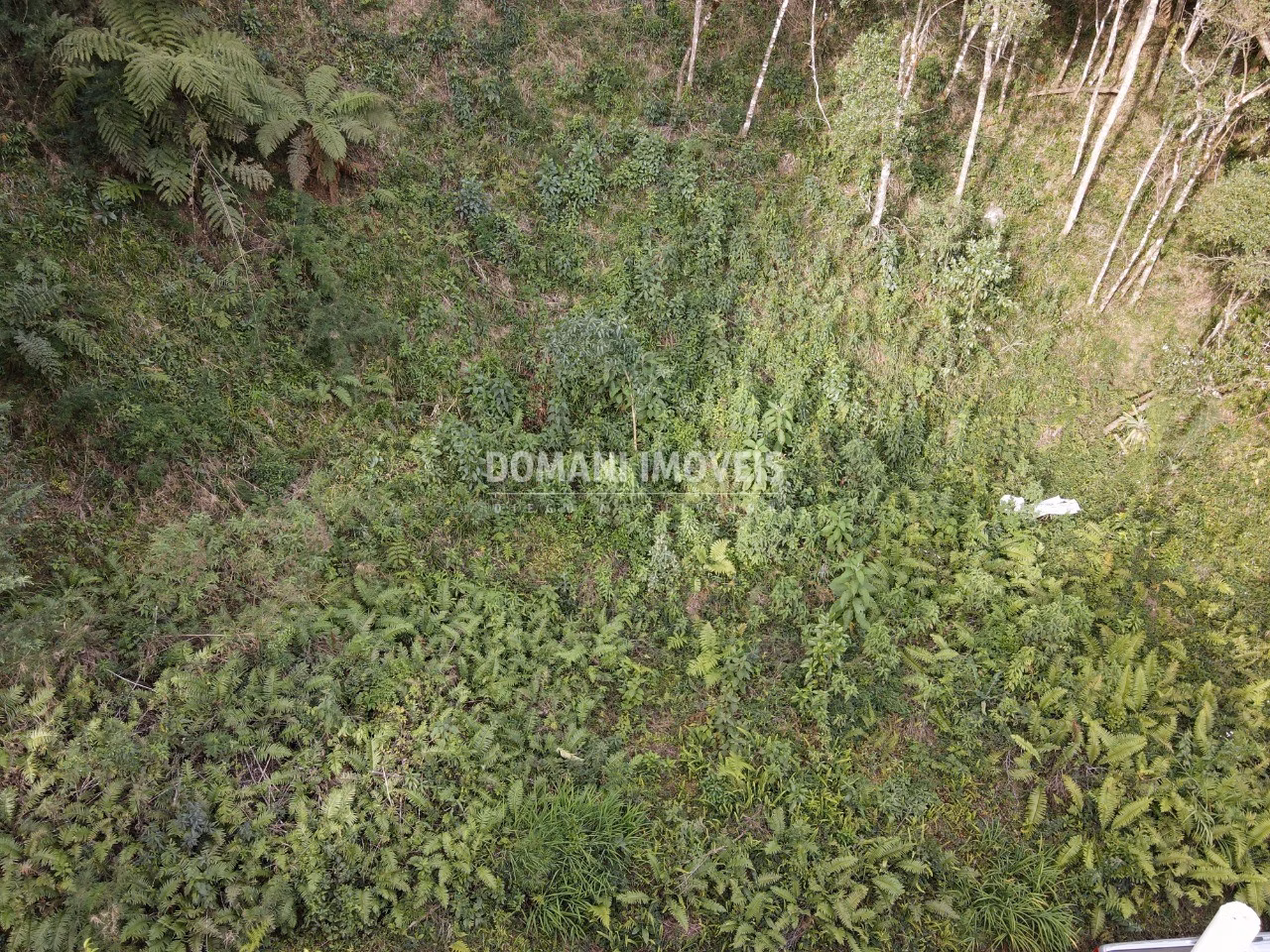 Terreno de 1,655 m² em Campos do Jordão, SP