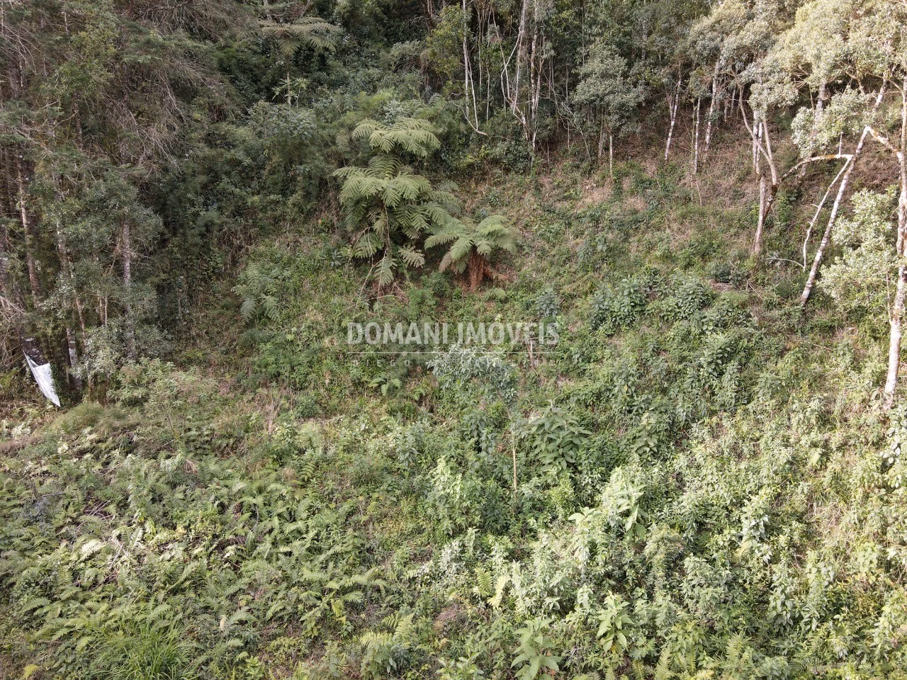 Plot of 1,655 m² in Campos do Jordão, SP, Brazil