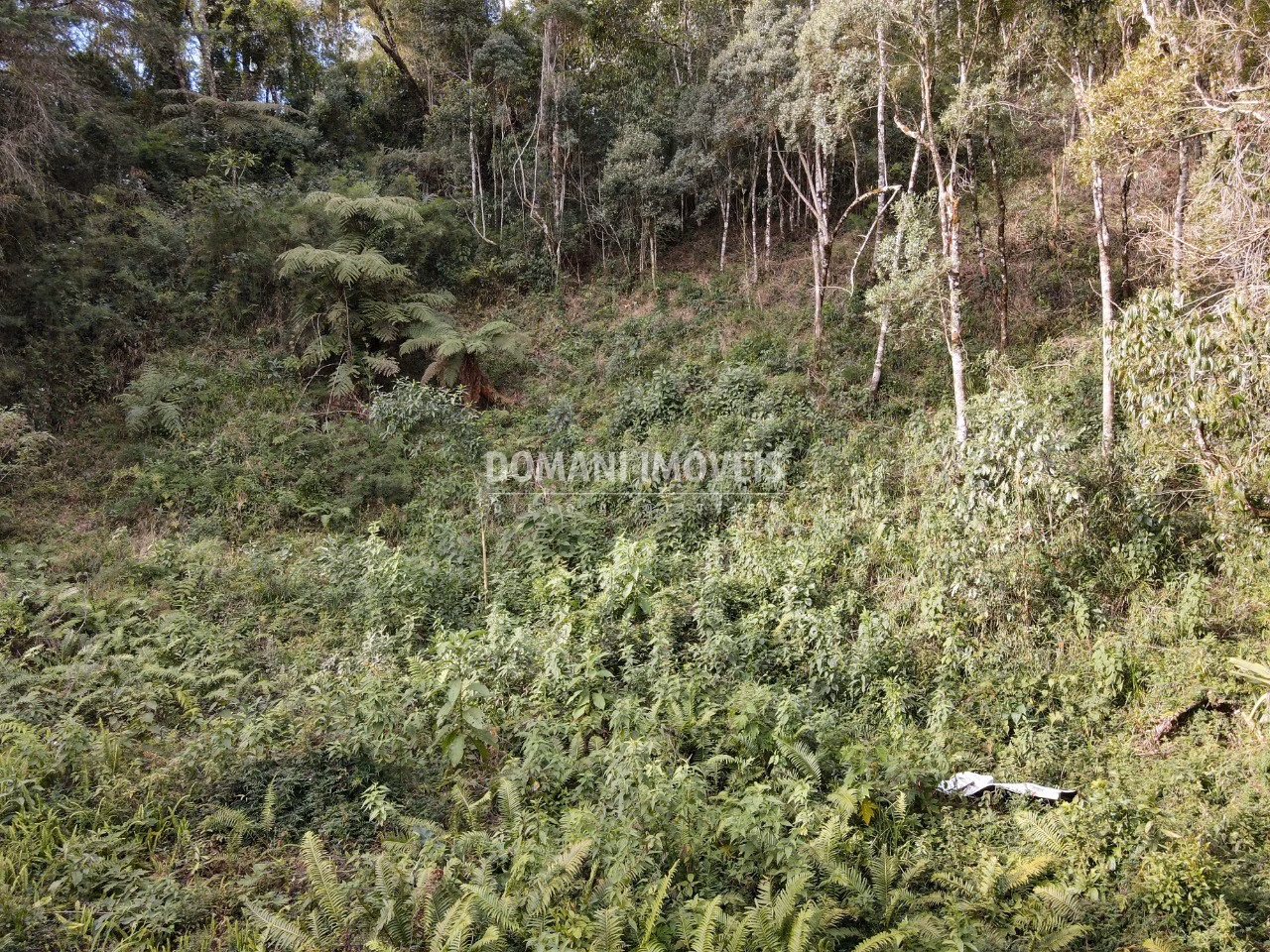 Plot of 1,655 m² in Campos do Jordão, SP, Brazil