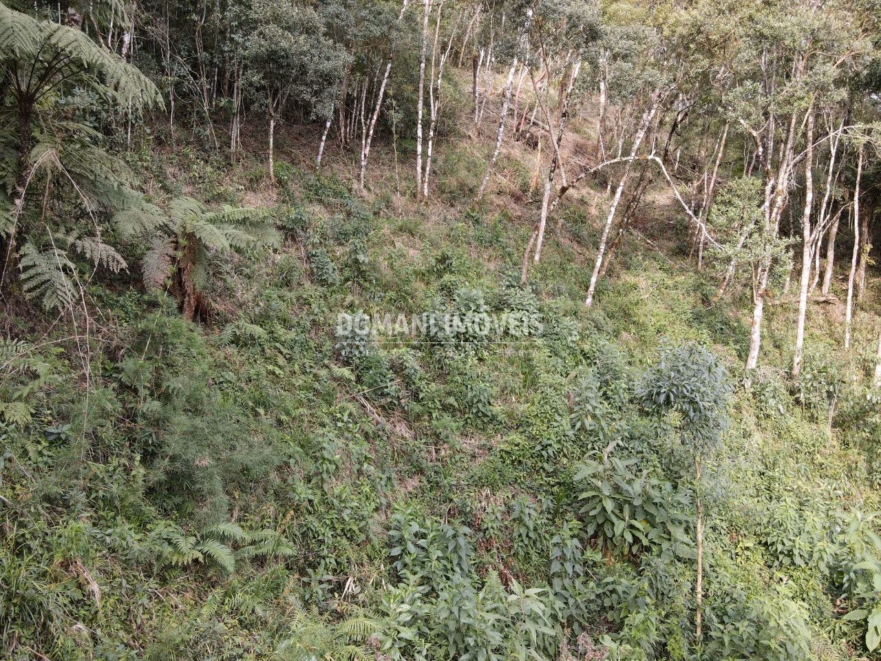 Plot of 1,655 m² in Campos do Jordão, SP, Brazil
