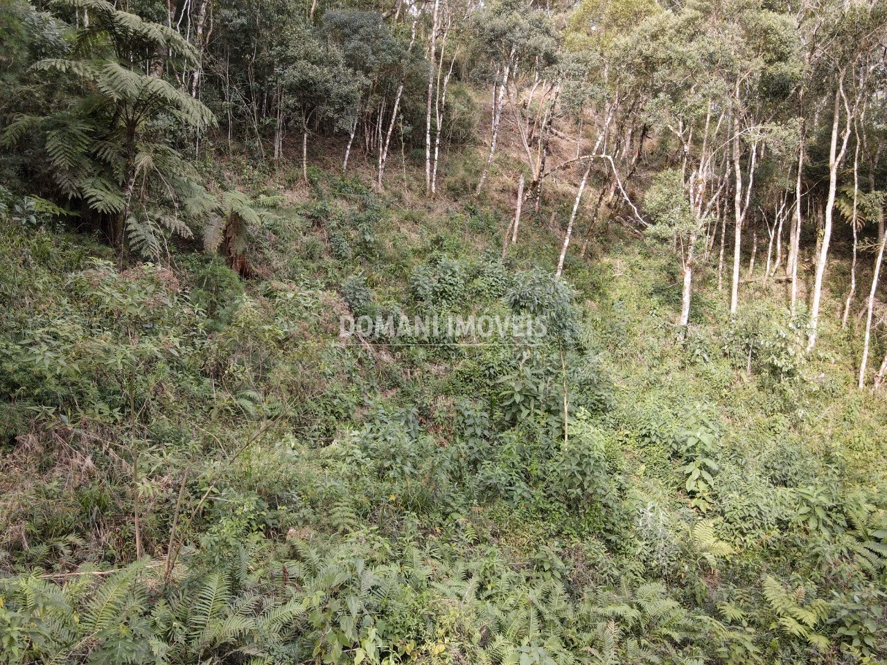Plot of 1,655 m² in Campos do Jordão, SP, Brazil