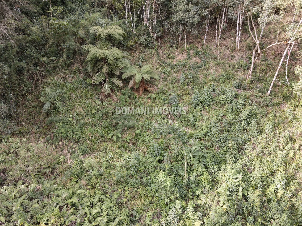 Plot of 1,655 m² in Campos do Jordão, SP, Brazil