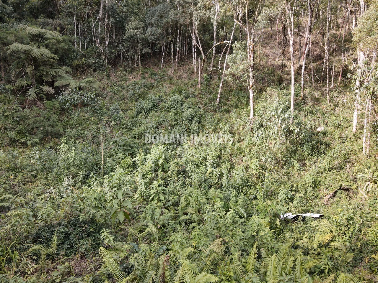 Plot of 1,655 m² in Campos do Jordão, SP, Brazil