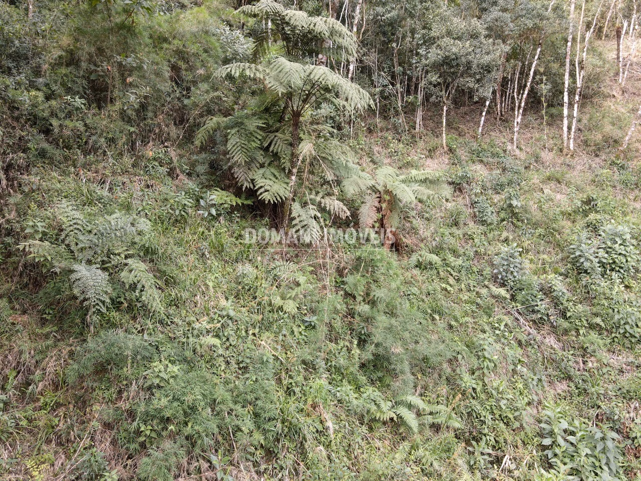 Plot of 1,655 m² in Campos do Jordão, SP, Brazil