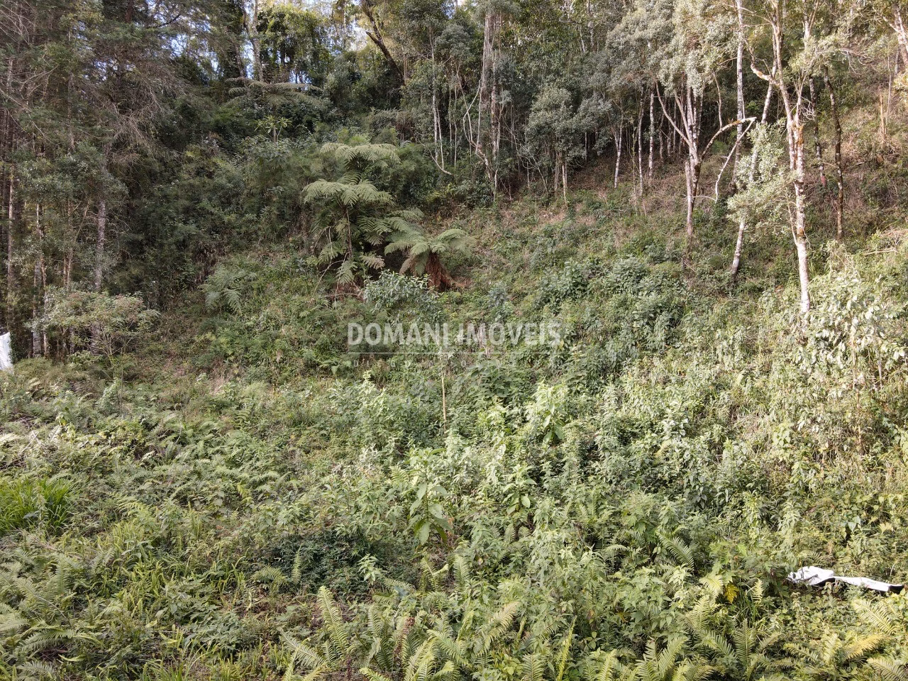 Plot of 1,655 m² in Campos do Jordão, SP, Brazil