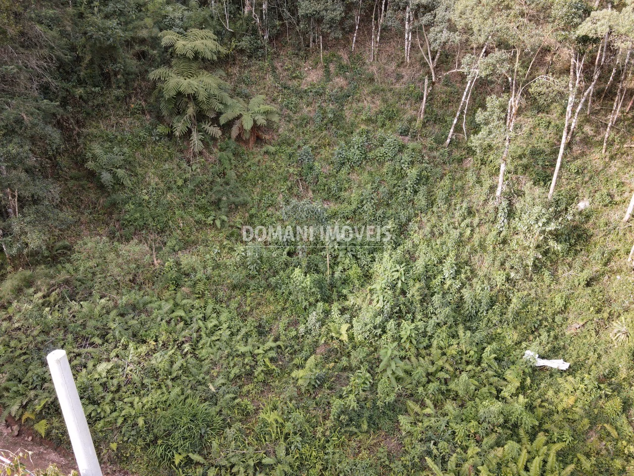 Plot of 1,655 m² in Campos do Jordão, SP, Brazil