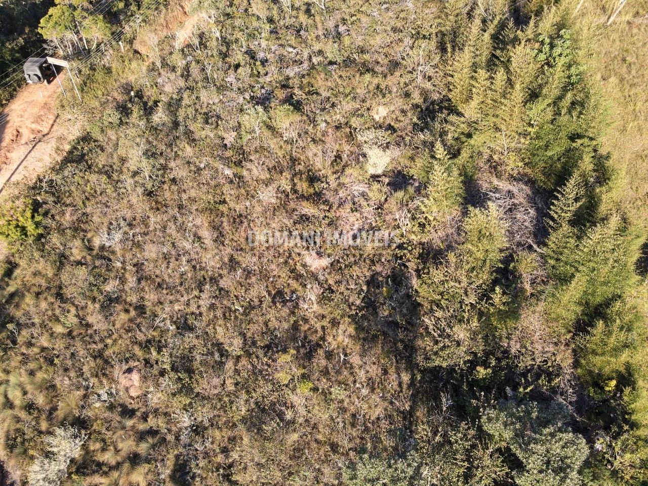 Plot of 1,010 m² in Campos do Jordão, SP, Brazil
