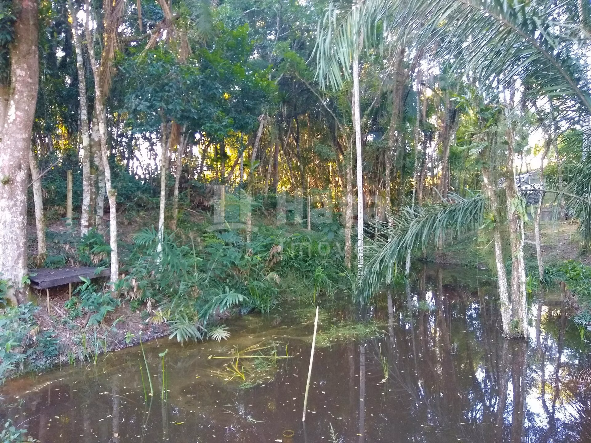 Farm of 1 acres in Itajaí, SC, Brazil
