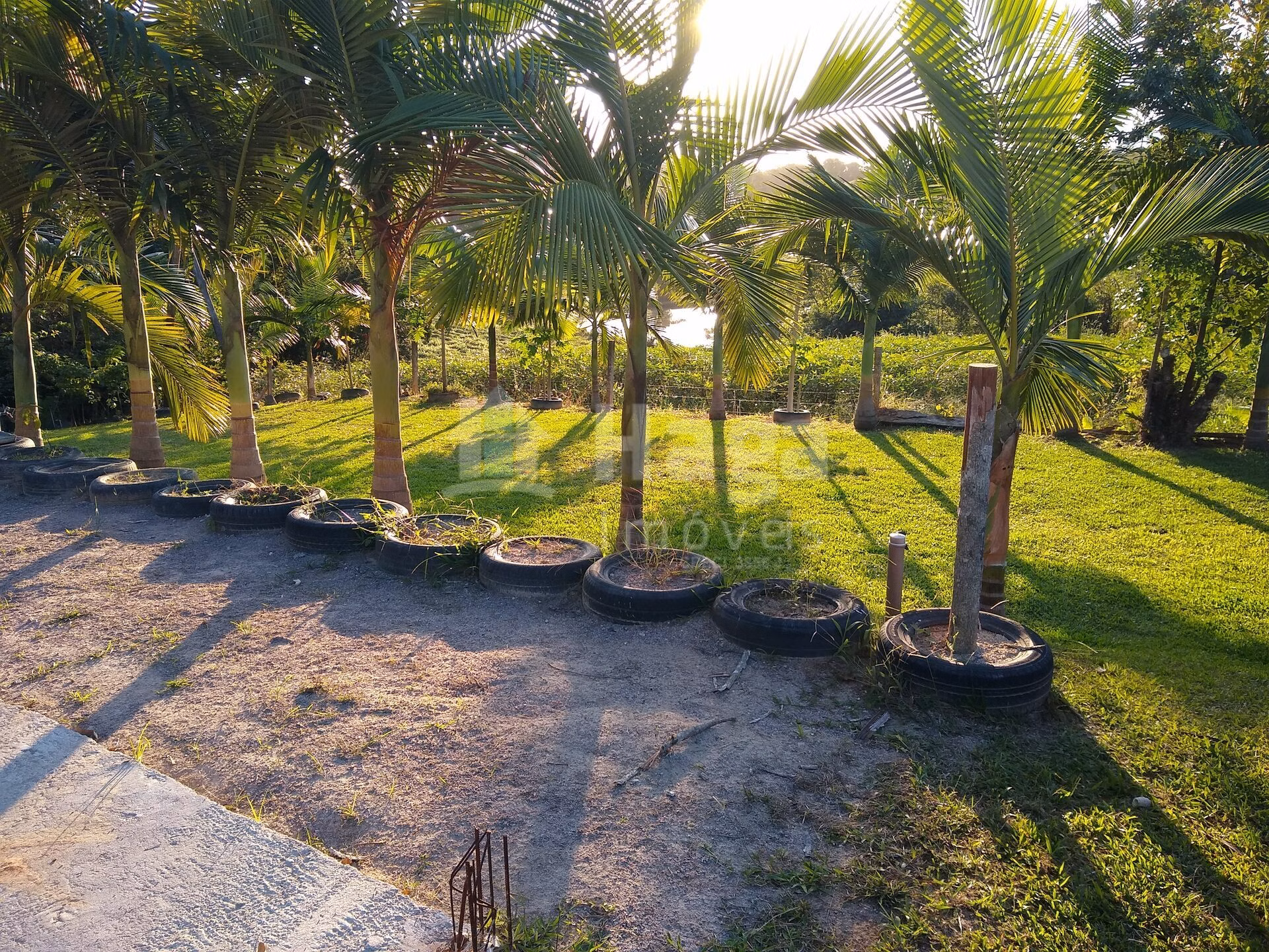 Farm of 1 acres in Itajaí, SC, Brazil