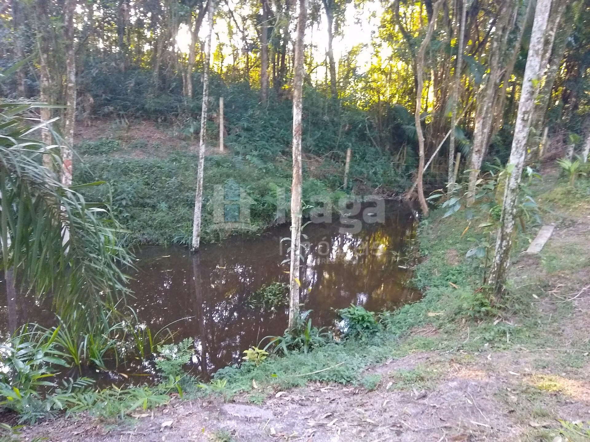 Farm of 1 acres in Itajaí, SC, Brazil