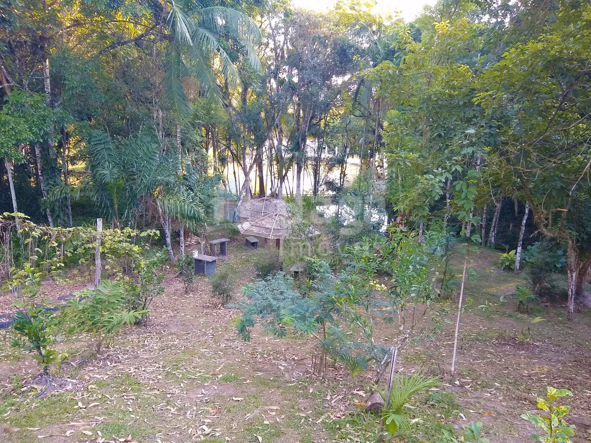 Farm of 1 acres in Itajaí, SC, Brazil