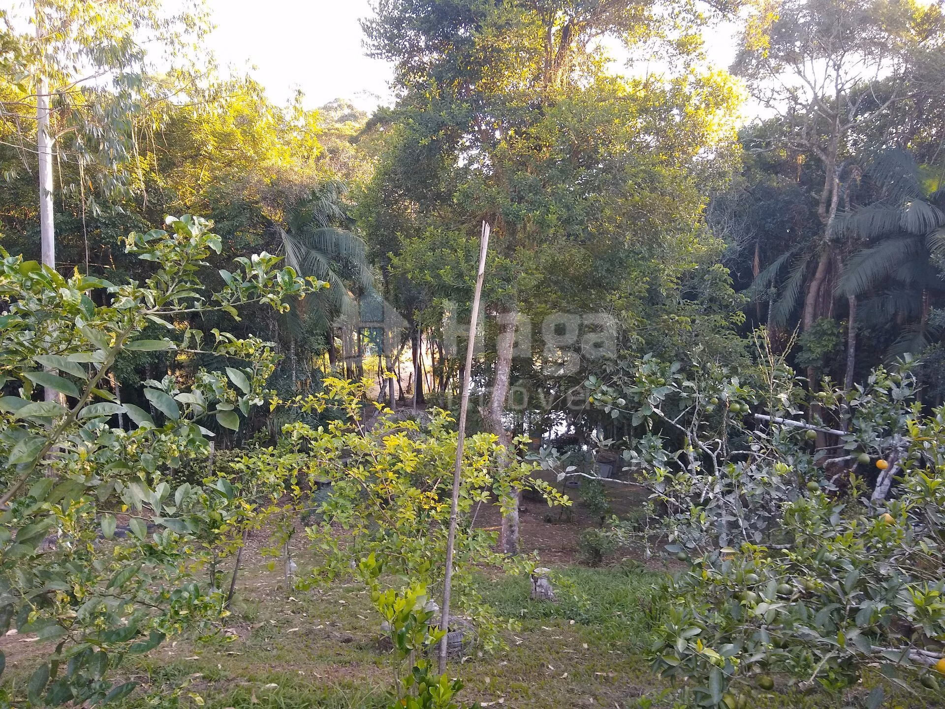 Farm of 1 acres in Itajaí, SC, Brazil